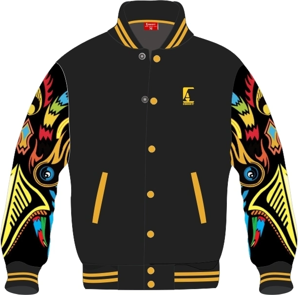 Custom Your Own Embroidery Designs Men&prime; S Winter Jackets Outdoor Jackets Bomber Jacket New Arrival Fashion Latest Varsity Jacket Wholesale (V21-BJ21)